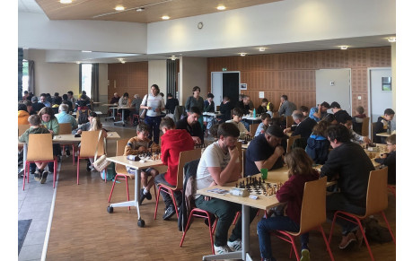 5ème Trophée d'échecs de Trélazé le 14 juin 2026. Tournoi décontracté, homologué Fide.